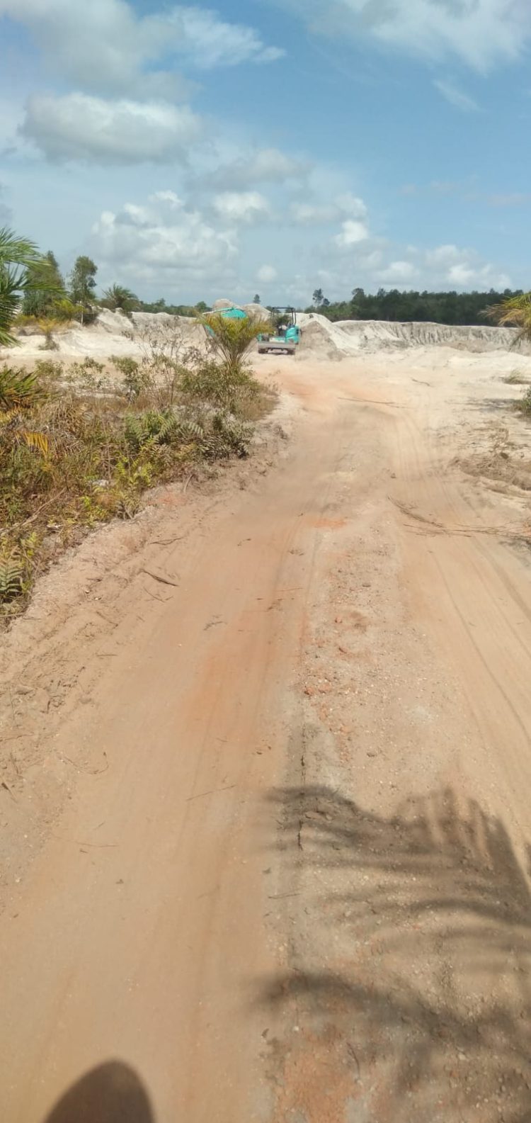 Apong Diduga Lakukan Aktivitas Galian C Ilegal di Hutan Produksi