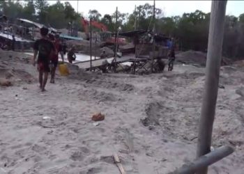 Ponton Ilegal Gilas Hutan Lindung Bangka, Alat Berat Hitachi Ikut Garuk Pasir Terlarang!